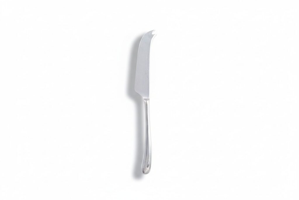 Stainless Steel Cheese Knife